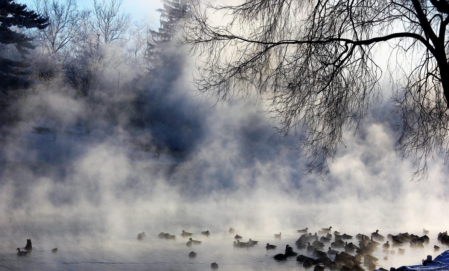 Early Morning Boiling Springs 01 01 2018